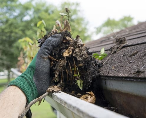 A hand wearing a gardening glove removing debris from a gutter.