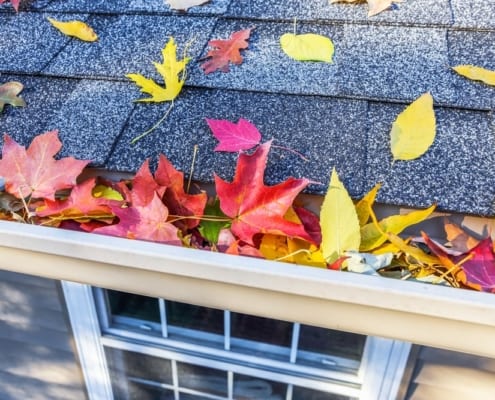 clogged gutters