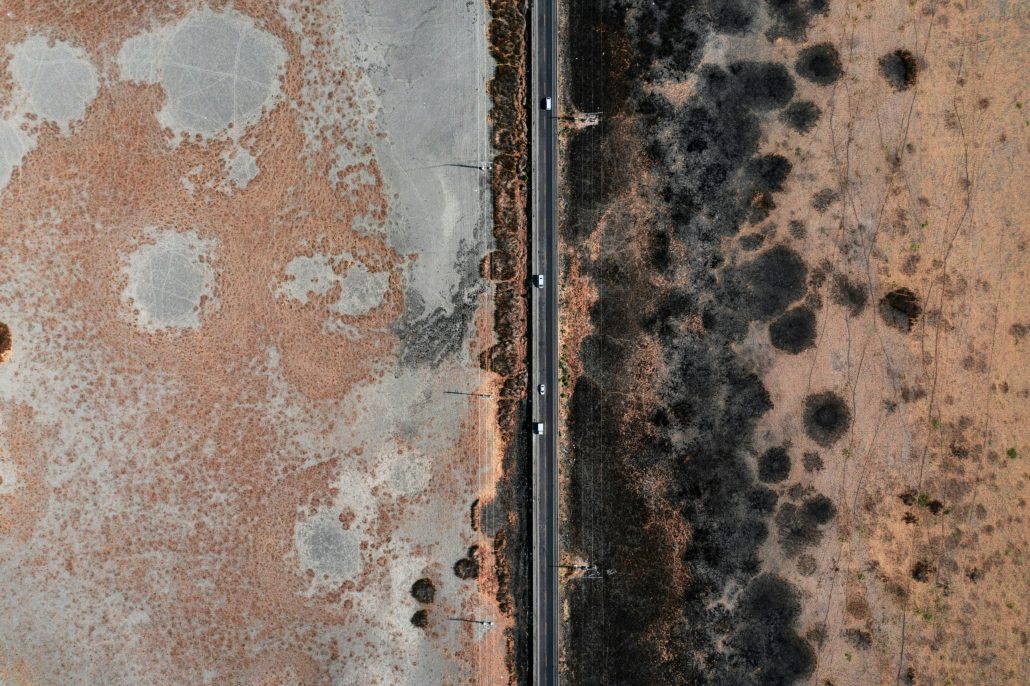 A highway with fields that look like an extreme mould infestation on a wall