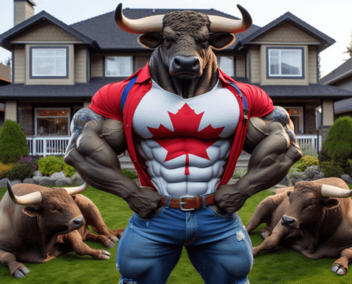 A muscular Canadian bull standing triumphantly over two normal bulls