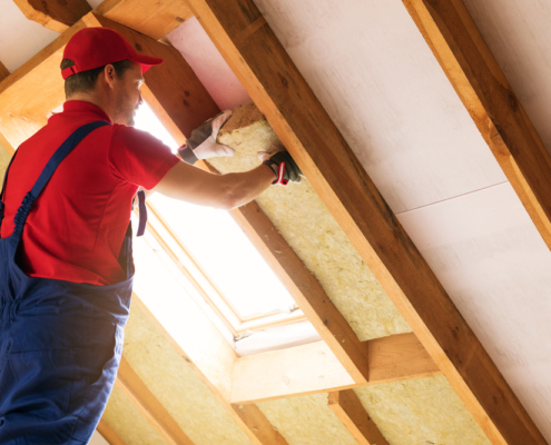 Attic Inspection