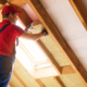 Attic Inspection