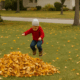 Young child jumping into a pile of freshly raked fall leaves on a suburban lawn.